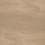 עץ נס קפה עץ נס קפה